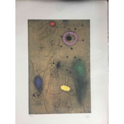 Joan Miro Lithografie off set 56x76 cm gecertificeerd