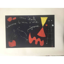 Joan Miro Lithografie off set 56x76 cm gecertificeerd