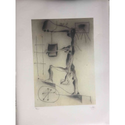 Joan Miro Lithografie off set 56x76 cm gecertificeerd