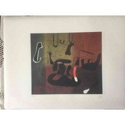 Joan Miro Lithografie off set 56x76 cm gecertificeerd