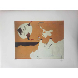 Joan Miro Lithografie off set 56x76 cm gecertificeerd