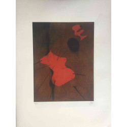 Litografia Joan Miro off set 56x76 cm certificada