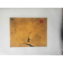Joan Miro Lithografie off set 56x76 cm gecertificeerd