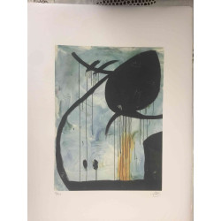 Litografia Joan Miro off set 56x76 cm certificada