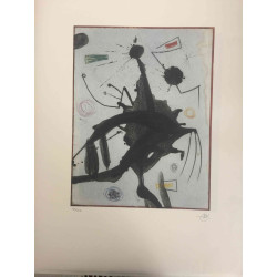 Joan Miro Lithograph off set 56x76 cm certified
