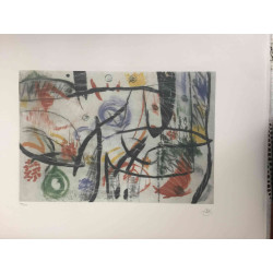 Joan Miro Litografía off set 56x76 cm certificado