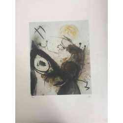 Conjunt de litografia de Joan Miró 56x76 cm certificat