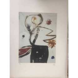 Joan Miro Lithograph off set 56x76 cm certified