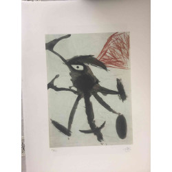 Litografia Joan Miro off set 56x76 cm certificada