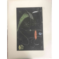 Joan Miro Litografia off set 56x76 cm certificat