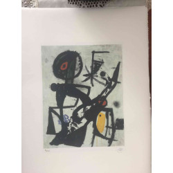 Joan Miro Lithographie Offset 56x76 cm zertifiziert