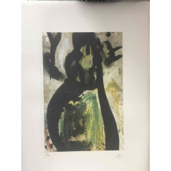 Joan Miro Lithograph off set 56x76 cm certified