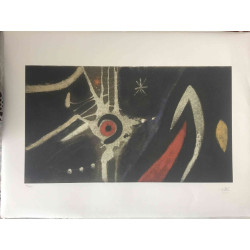 Joan Miro Lithograph off set 56x76 cm certified