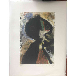 Joan Miro Litografía off set 56x76 cm certificado