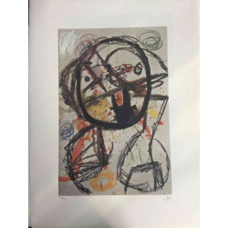 Joan Miro Litografía off set 56x76 cm certificado