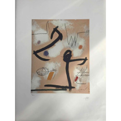 Joan Miro  Litografia off set cm 56x76  certificata