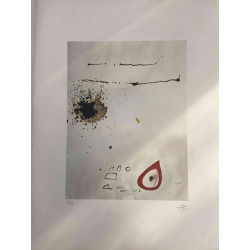 Joan Miro Lithografie off set 56x76 cm gecertificeerd