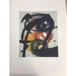 Joan Miro  Litografia off set cm 56x76  certificata