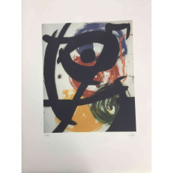 Joan Miro Lithograph off set 56x76 cm certified