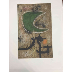 Joan Miro  Litografia off set cm 56x76  certificata