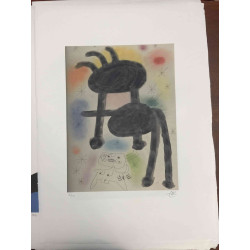 Joan Miro Lithographie Offset 56x76 cm zertifiziert