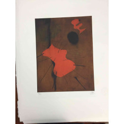 Joan Miro Litografia offsetowa 56x76 cm certyfikowana