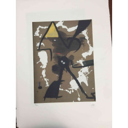 Joan Miro 56x76 cm-ko ziurtagiria