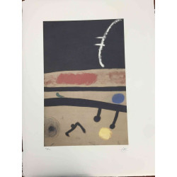 Joan Miro Litografia off set 56x76 cm certificat