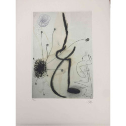 Joan Miro Lithographie Offset 56x76 cm zertifiziert