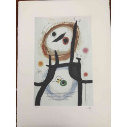 Joan Miro Lithographie Offset 56x76 cm zertifiziert