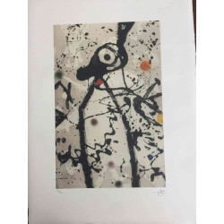 Joan Miro Lithograph off set 56x76 cm certified