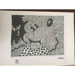 Set de litografia Keith Haring 50x70 cm certificat