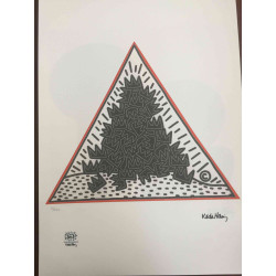 Set de litografia Keith Haring 50x70 cm certificat