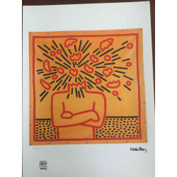 Set de litografia Keith Haring 50x70 cm certificat