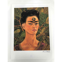 Frida Khalo Lithografie off set 50x70 cm gecertificeerd