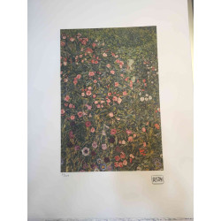 Gustav Klimt Lithografie off set 50x70 cm gecertificeerd