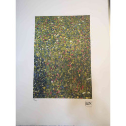 Gustav Klimt Lithografie off set 50x70 cm gecertificeerd