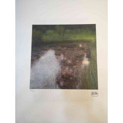 Gustav Klimt Lithografie off set 50x70 cm gecertificeerd