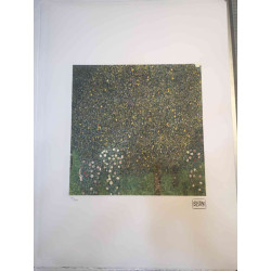 Gustav Klimt Lithografie off set 50x70 cm gecertificeerd