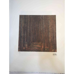 Gustav Klimt Lithographie Offset 50x70 cm zertifiziert