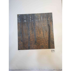 Gustav Klimt Lithografie off set 50x70 cm gecertificeerd