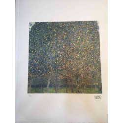 Gustav Klimt Lithografie off set 50x70 cm gecertificeerd