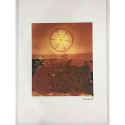 Max Ernst Lithografie off set 50x70 cm gecertificeerd