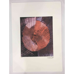 Max Ernst Lithografie off set 50x70 cm gecertificeerd