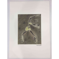 Max Ernst Lithografie off set 50x70 cm gecertificeerd