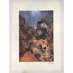 Max Ernst Lithografie off set 50x70 cm gecertificeerd