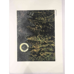 Max Ernst Litografia off set cm 50x70  certificata