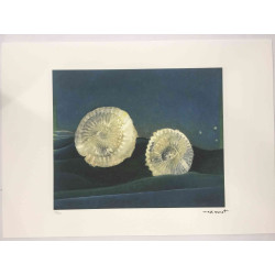 Max Ernst Litografia off set cm 50x70  certificata