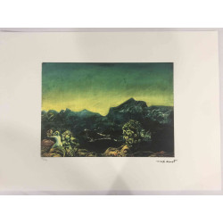 Max Ernst Lithografie off set 50x70 cm gecertificeerd