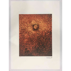 Max Ernst Lithografie off set 50x70 cm gecertificeerd